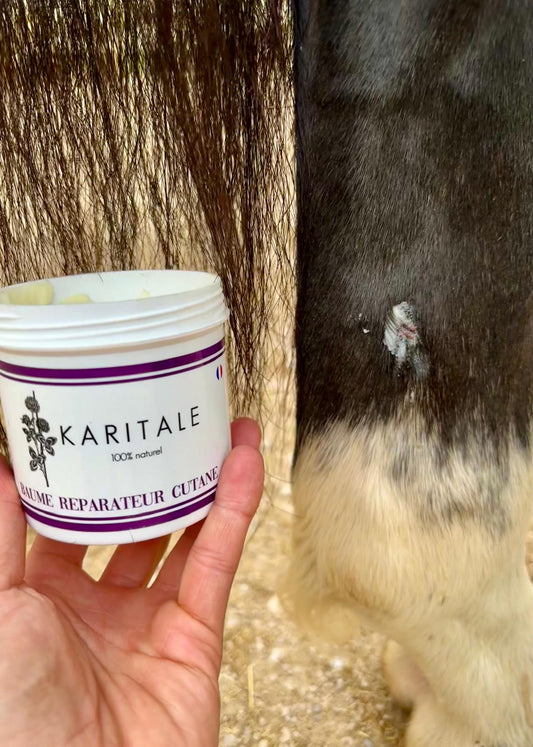 Baume Reparateur Cutane KARITALE