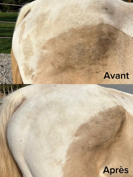 Détachant Robe et Crin EKIN