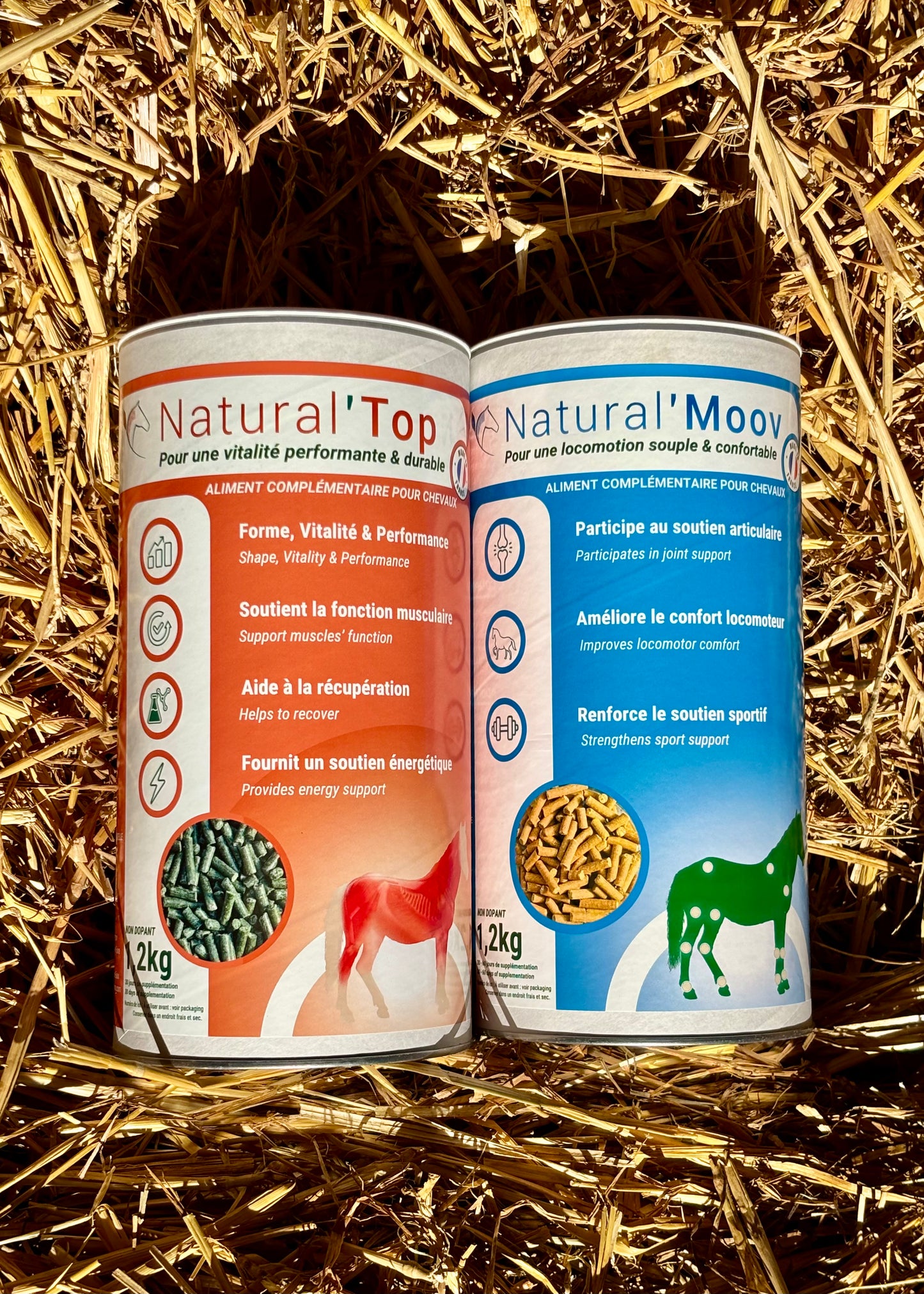 Pack Réussite Sportive