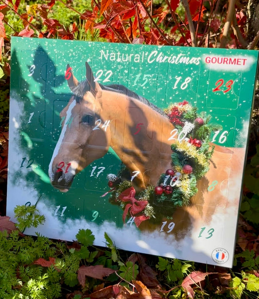 Calendrier de l’avent - Natural Innov